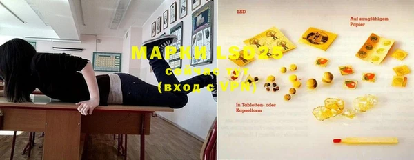 мдпв Богданович