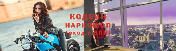 мдпв Богданович