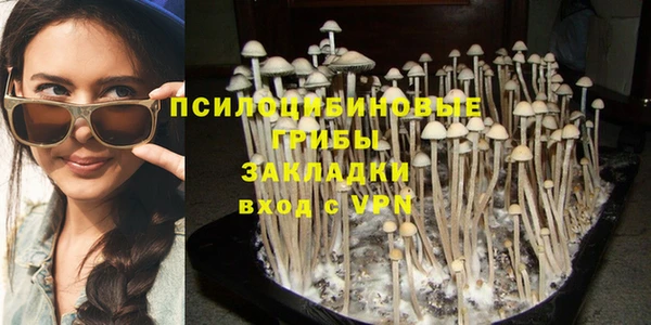 каннабис Белокуриха