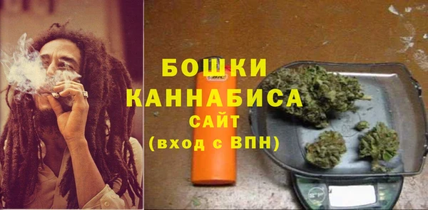 PSILOCYBIN Богородск