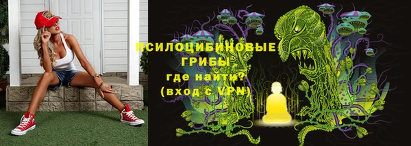 PSILOCYBIN Богородск